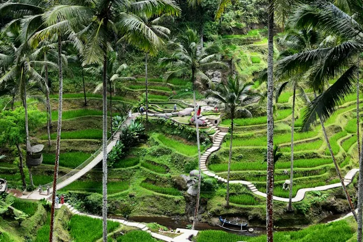 Bali Swing and Tegenungan Waterfall by OYG Holidays