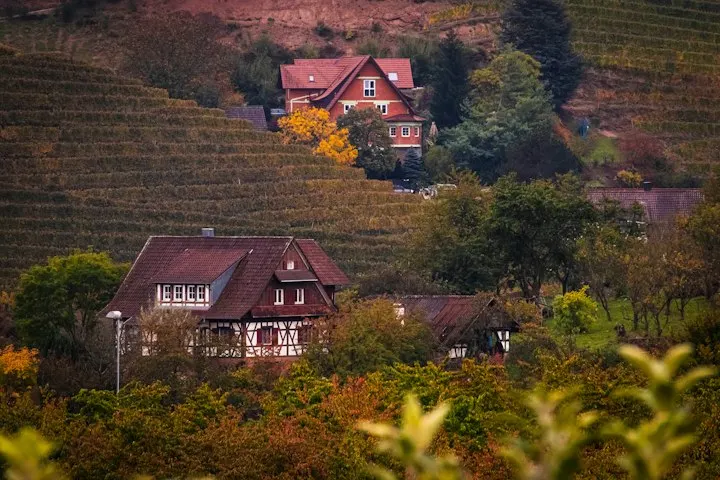 Black Forest Village and Cuckoo Clock Day Trip by OYG Holidays