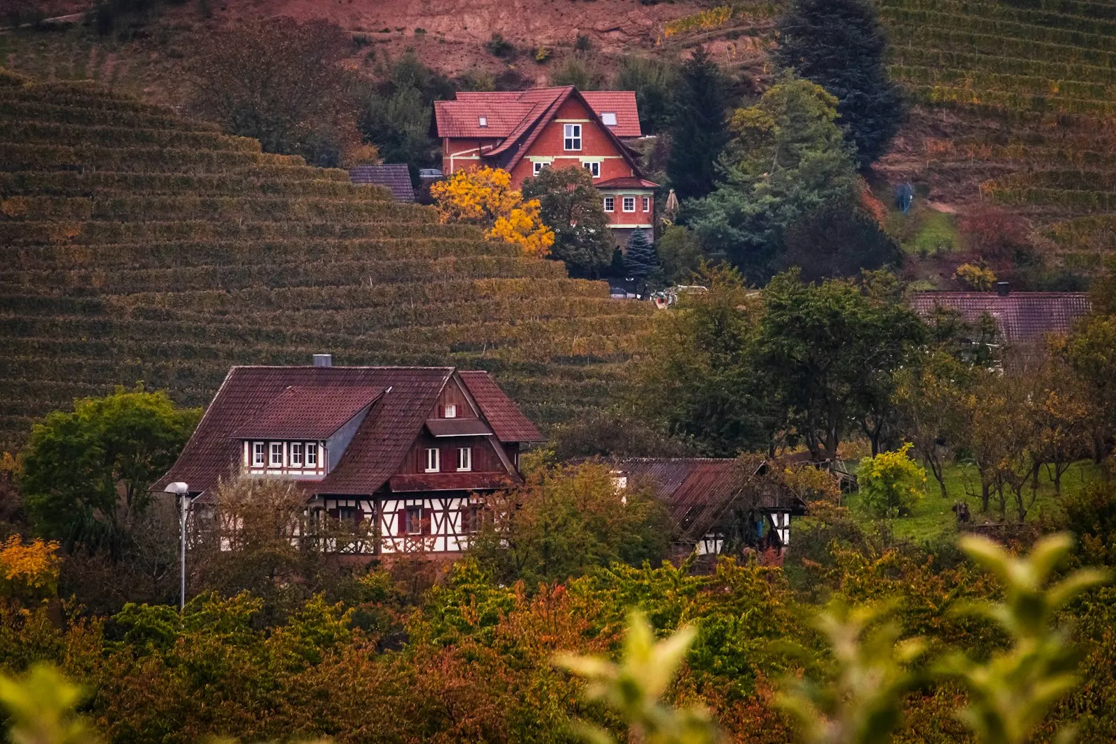 Black Forest Village and Cuckoo Clock Day Trip by OYG Holidays, Europe (multi-country)