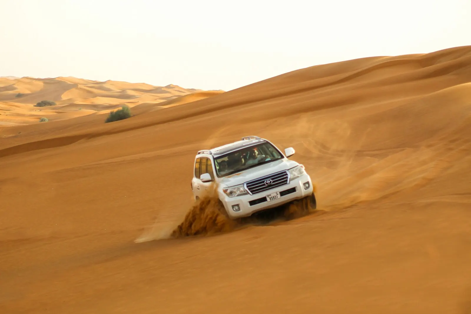 Desert Safari with Dune Bashing and BBQ Dinner by OYG Holidays, Dubai and the UAE