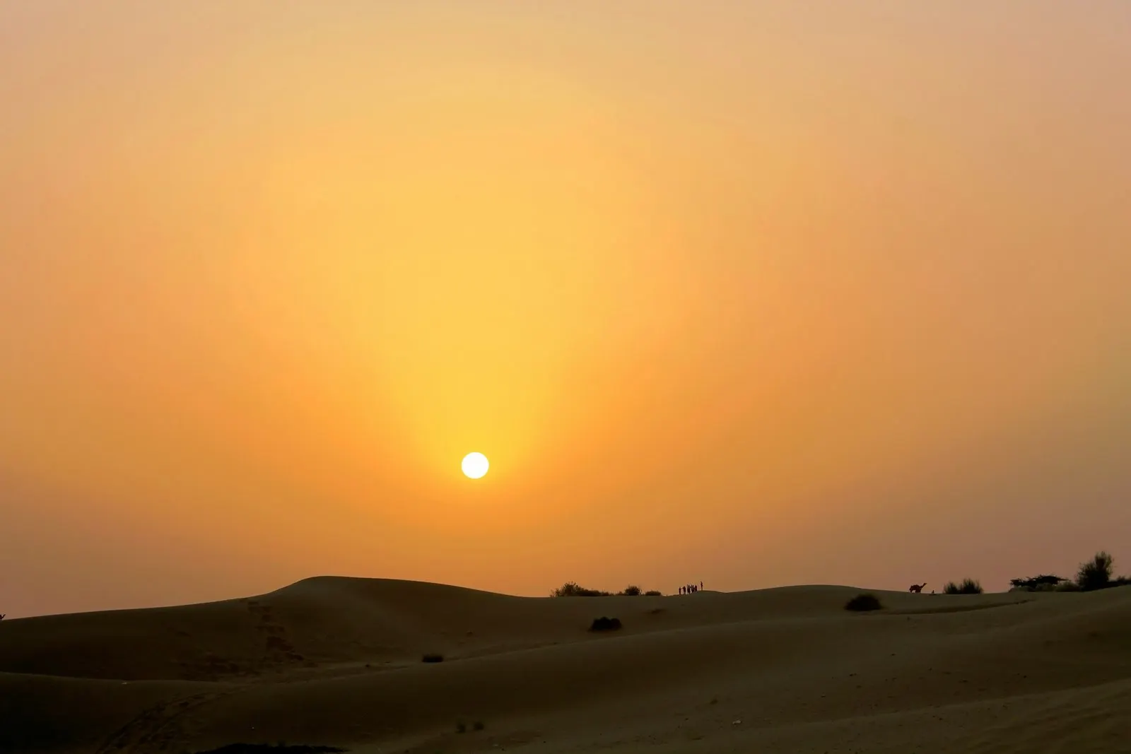 Jaisalmer Desert Safari and Camel Ride by OYG Holidays, Rajasthan