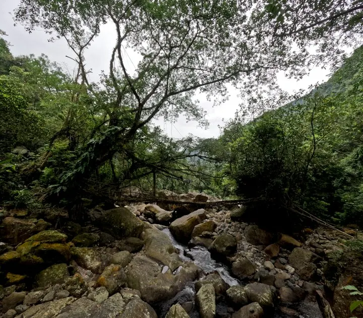 Living Root Bridge Trek by OYG Holidays