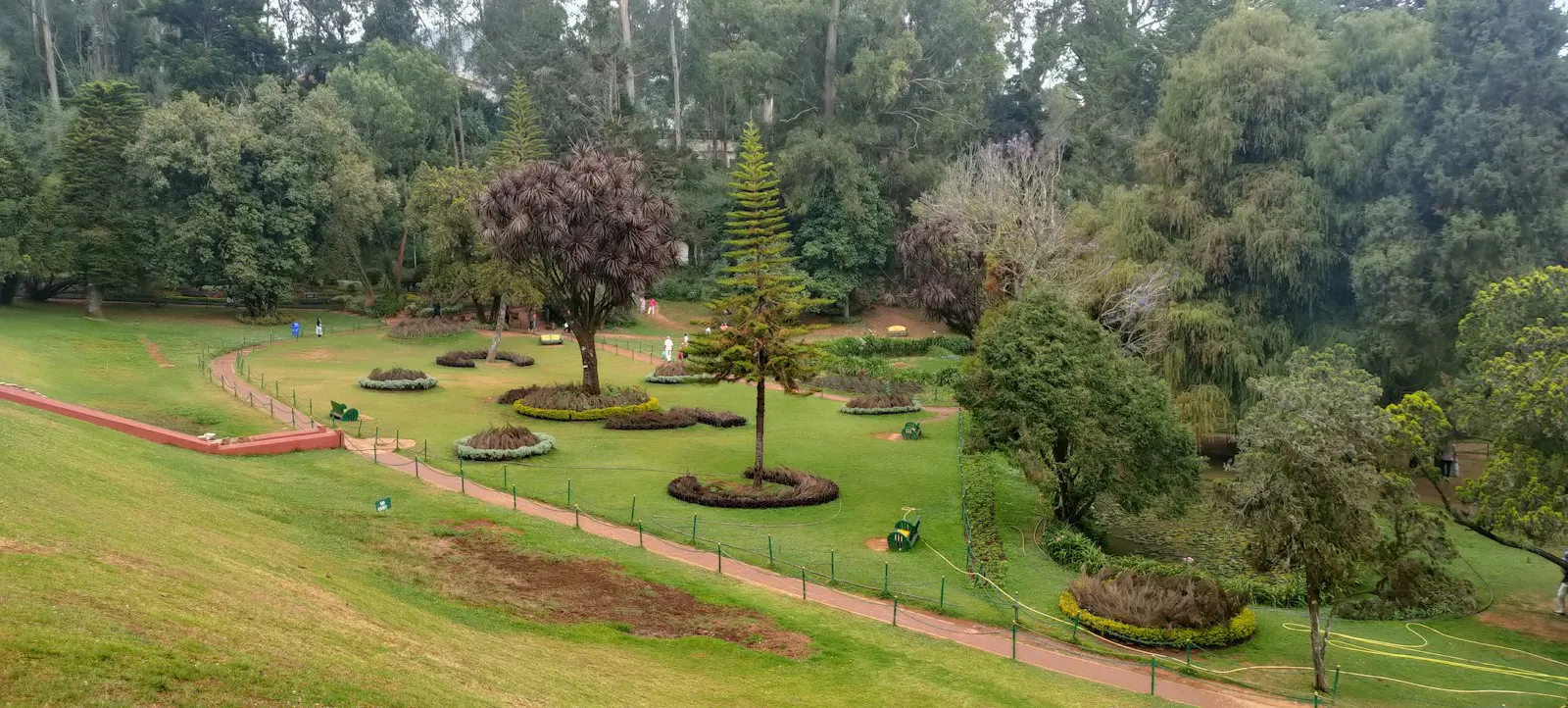 Ooty Botanical Garden and Doddabetta Peak by OYG Holidays, Ooty