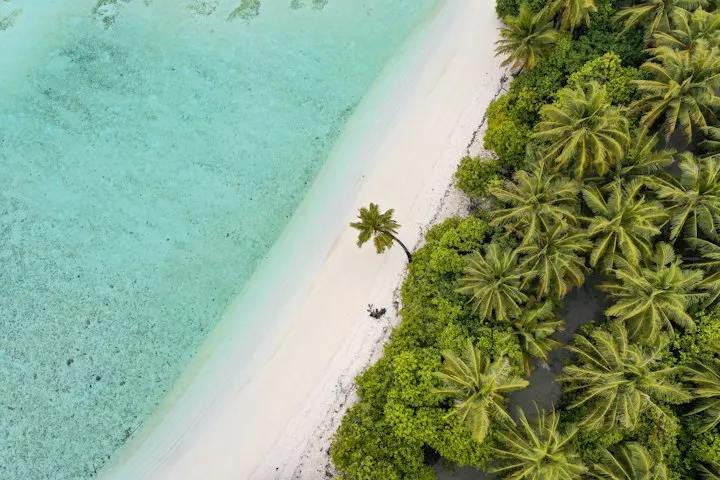 Snorkelling and Sandbank Excursion by OYG Holidays