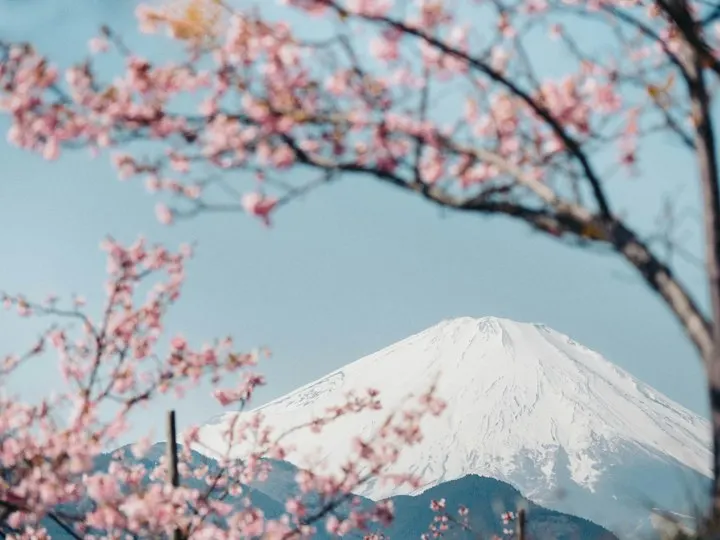 Ryokan Stays in Kyoto by OYG Holidays