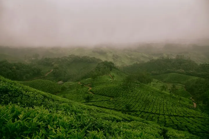 Private Cottages in Munnar by OYG Holidays