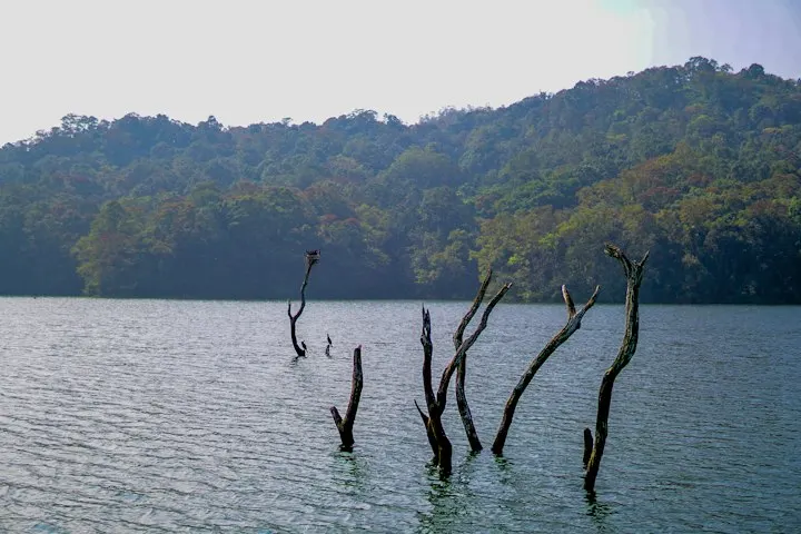 Spice Estate Resorts in Thekkady by OYG Holidays