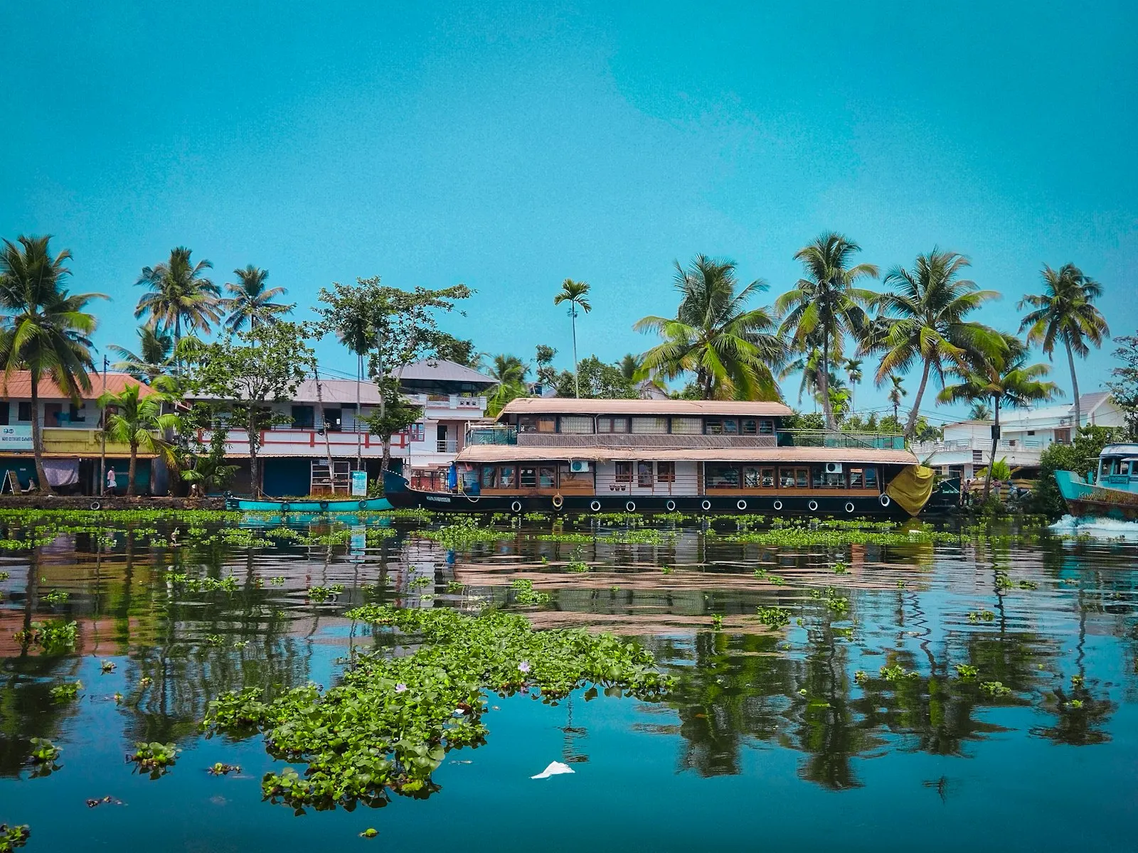 Ayurvedic Wellness Retreats in Kerala by OYG Holidays, Kerala