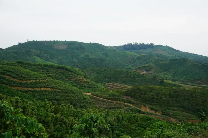 Coffee Estate Homestays in Coorg by OYG Holidays