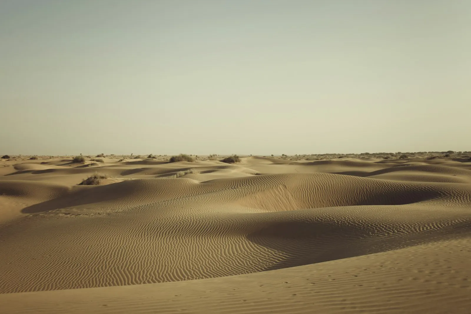 Desert Camps in Jaisalmer by OYG Holidays, Rajasthan