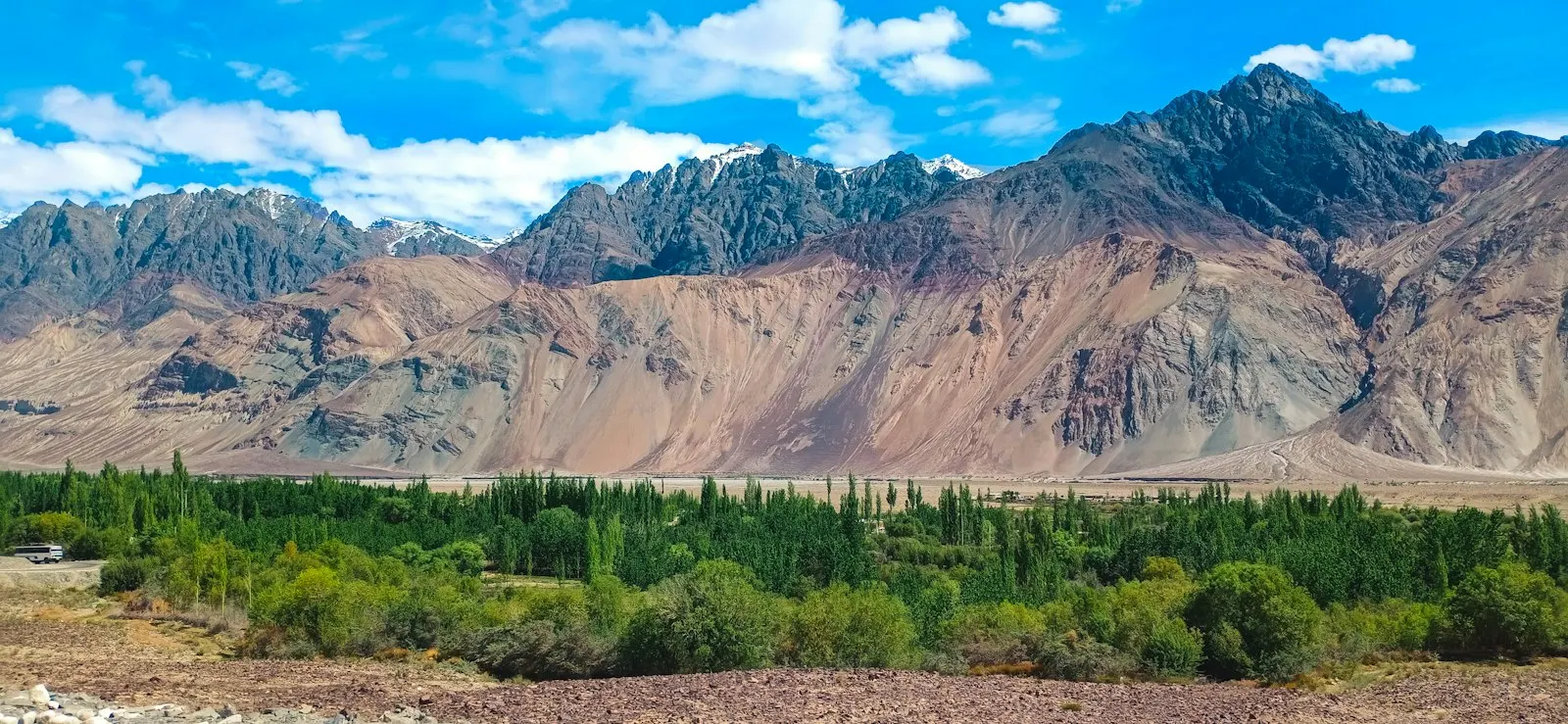 Eco Camps in Ladakh by OYG Holidays, Ladakh