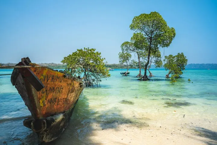 Eco Resorts on Neil Island by OYG Holidays