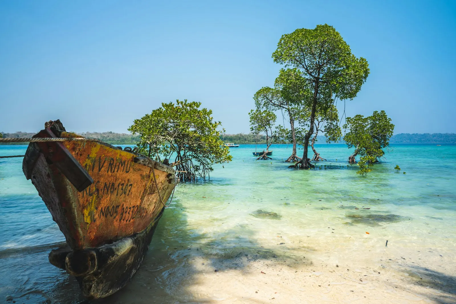 Eco Resorts on Neil Island by OYG Holidays, Andaman and Nicobar