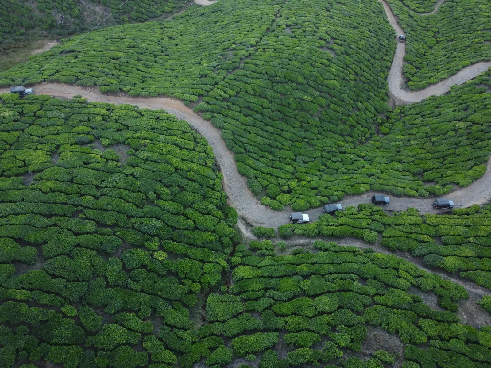 Private Cottages in Munnar by OYG Holidays, Munnar