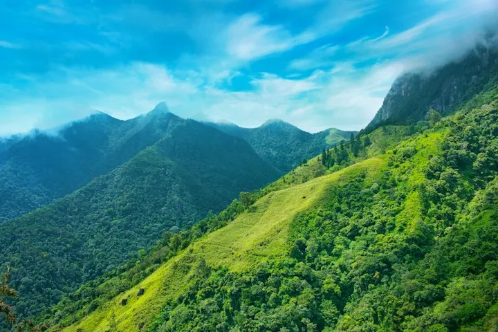 Resorts in Coorg by OYG Holidays