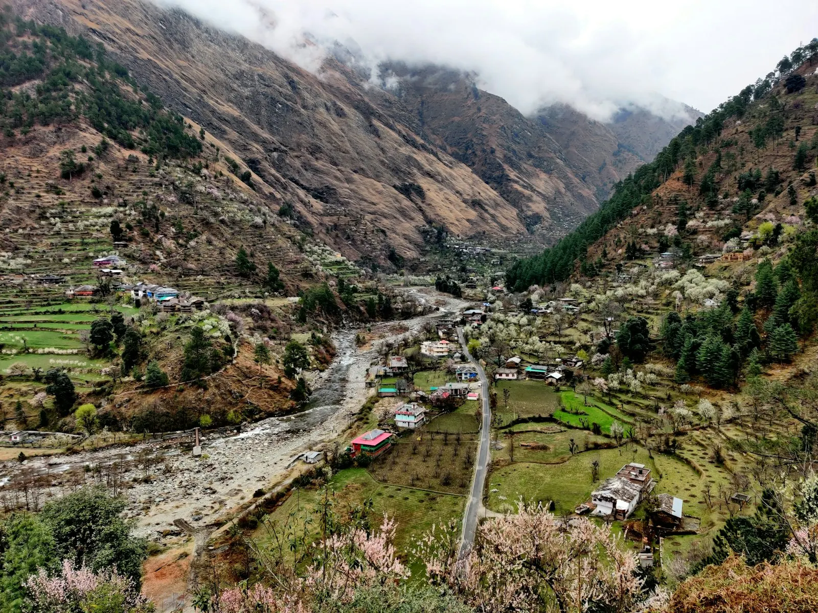 Riverside Camps in Kasol and Tirthan by OYG Holidays, Himachal Pradesh